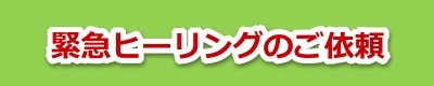 菇1