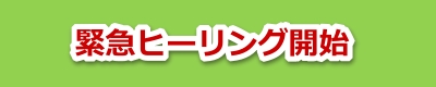 菇4